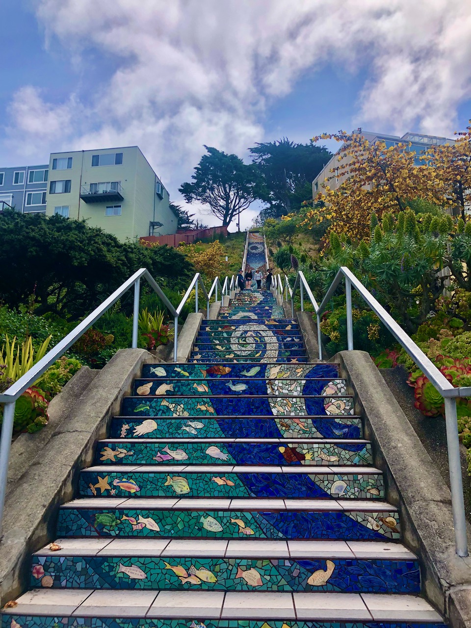 The San Francisco Stair Climb Workout Guide